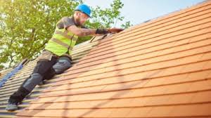 Best Skylight Installation and Repair  in Cameron, WI